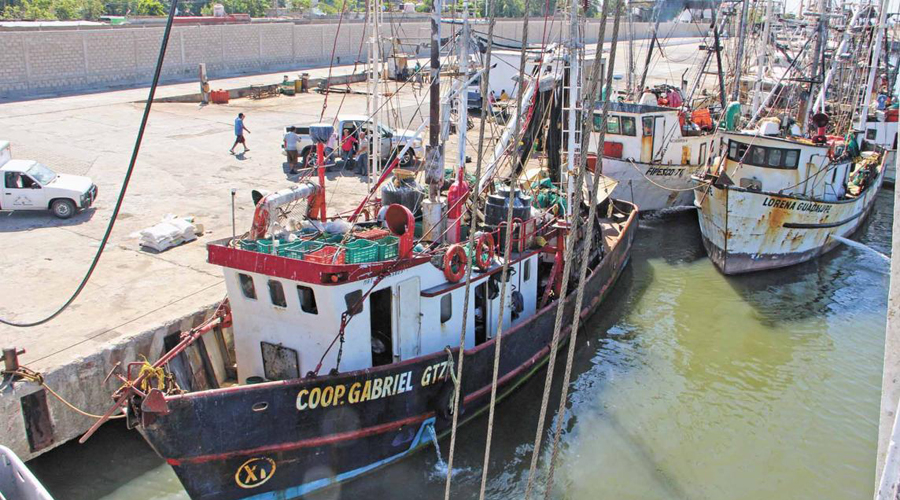 Alto costo del diesel paraliza flota pesquera | El Imparcial de Oaxaca