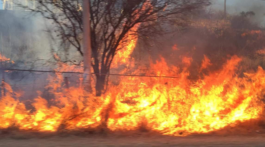 Más de 70 incendios en la Mixteca en lo que va del año: Protección Civil | El Imparcial de Oaxaca