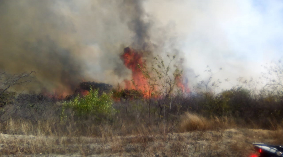 Se incendian pastizales en la Villa de Etla