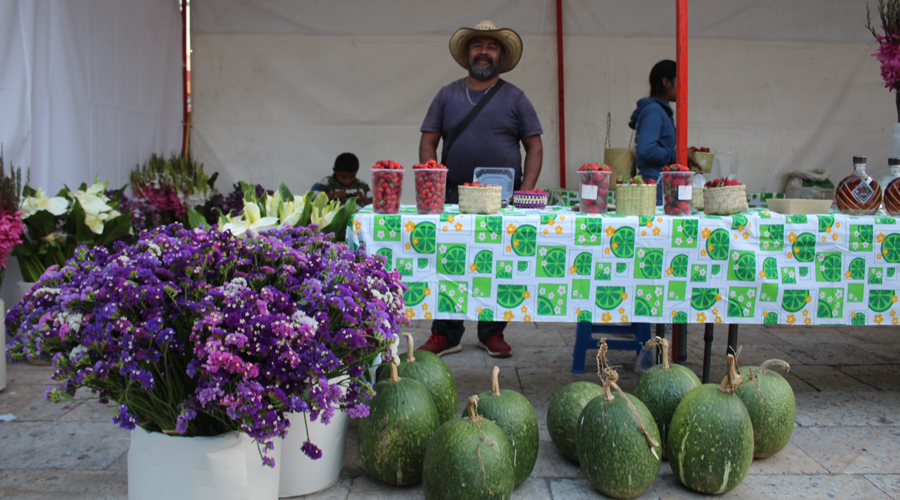 Migrante mixteco impulsa producción de diversos frutos | El Imparcial de Oaxaca