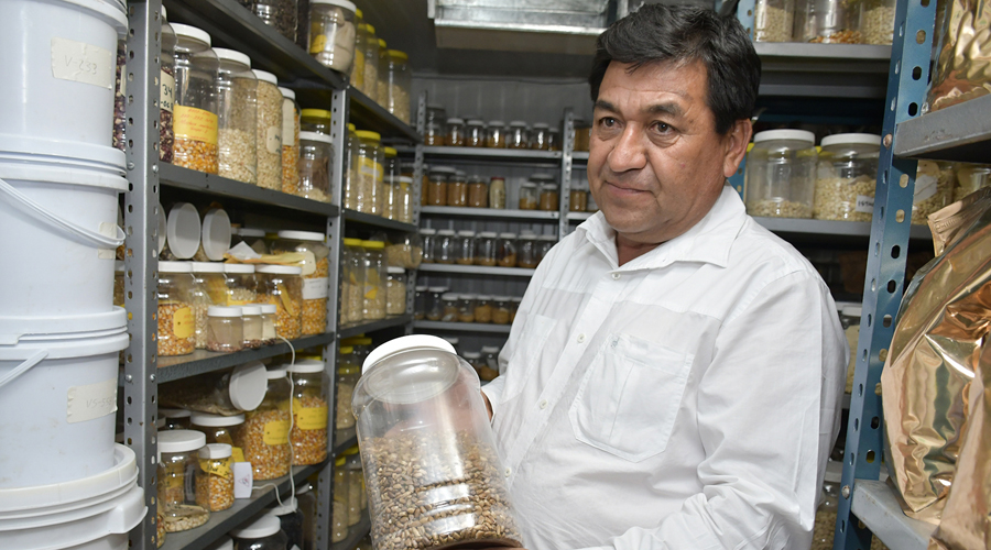 Preservan semillas nativas en bancos comunitarios | El Imparcial de Oaxaca