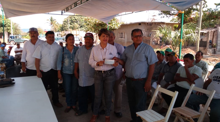Productores de sorgo reciben pagos de seguro agrícola | El Imparcial de Oaxaca
