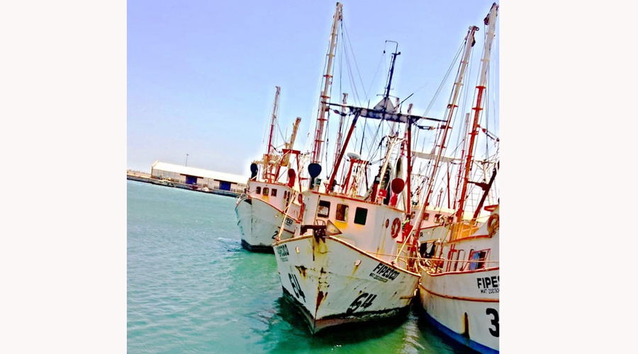 Se paraliza flota pesquera por altos costos de diesel marino