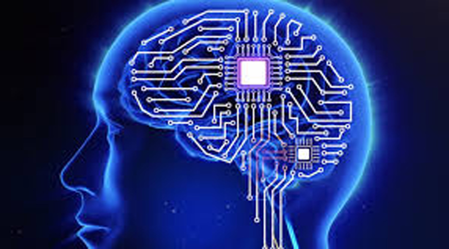 Avances en neurotecnología crean implantes cerebrales para almacenar recuerdos | El Imparcial de Oaxaca