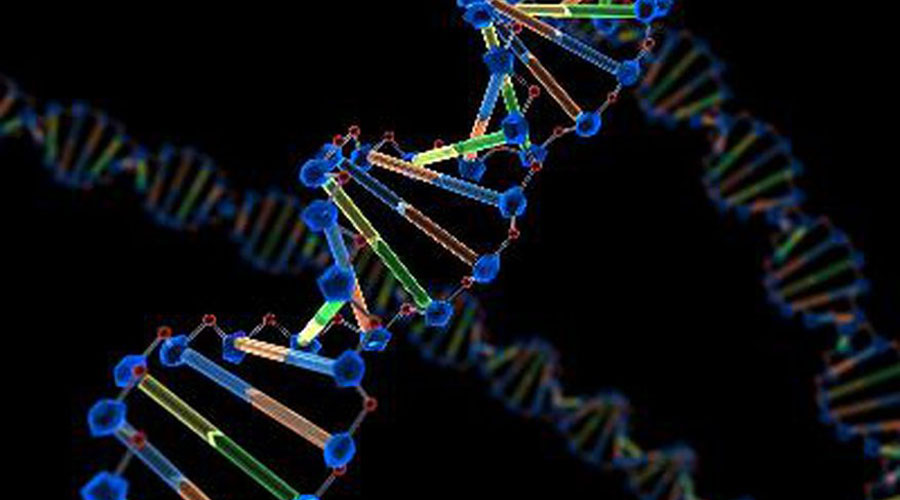 El 80% de las enfermedades raras son de origen genético