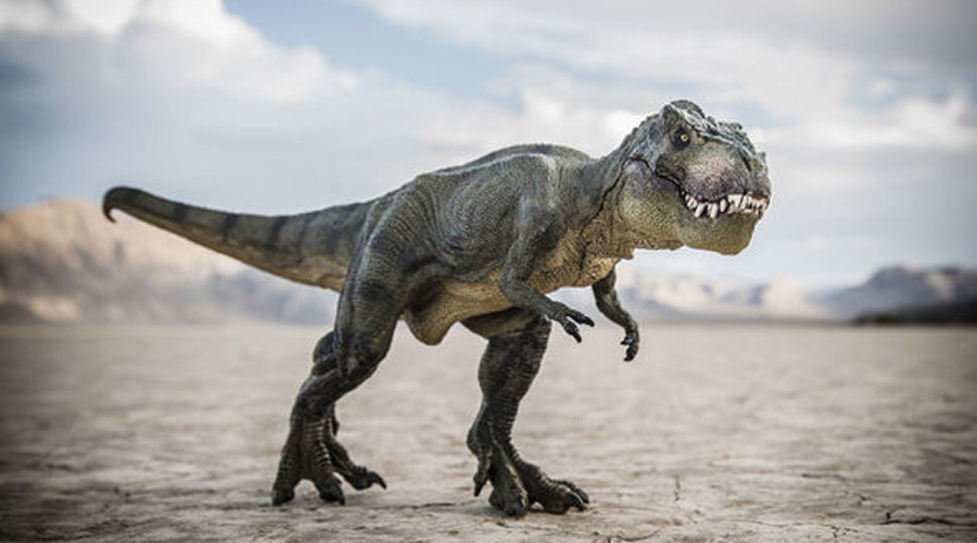 Paleontólogos descubren fósil de Tiranosaurio rex miniatura | El Imparcial de Oaxaca
