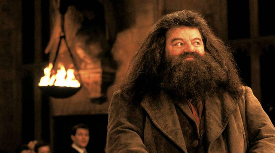 Actor que interpretó a Hagrid vivirá confinado a una silla de ruedas | El Imparcial de Oaxaca