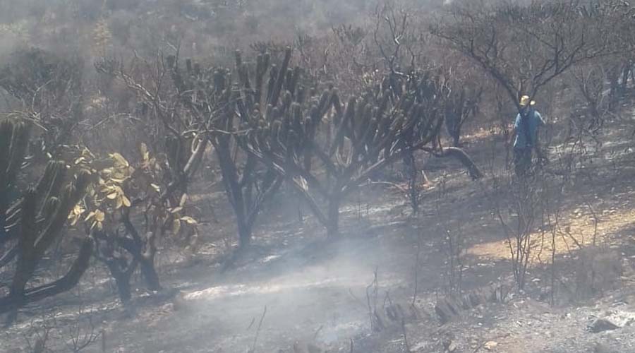 Sofocan incendio en Santiago Chazumba | El Imparcial de Oaxaca