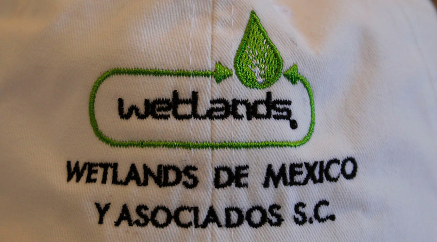 Sistema Wetlands, una opción ecológica para el rescate de los ríos Salado y Atoyac