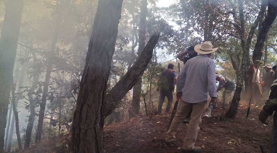 Sofocan pobladores y comuneros incendio en San Pablo Etla