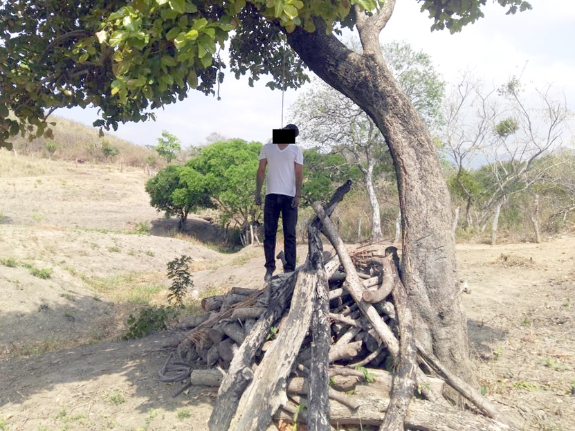 Se ahorca en un árbol en  el Barrio de La Soledad | El Imparcial de Oaxaca