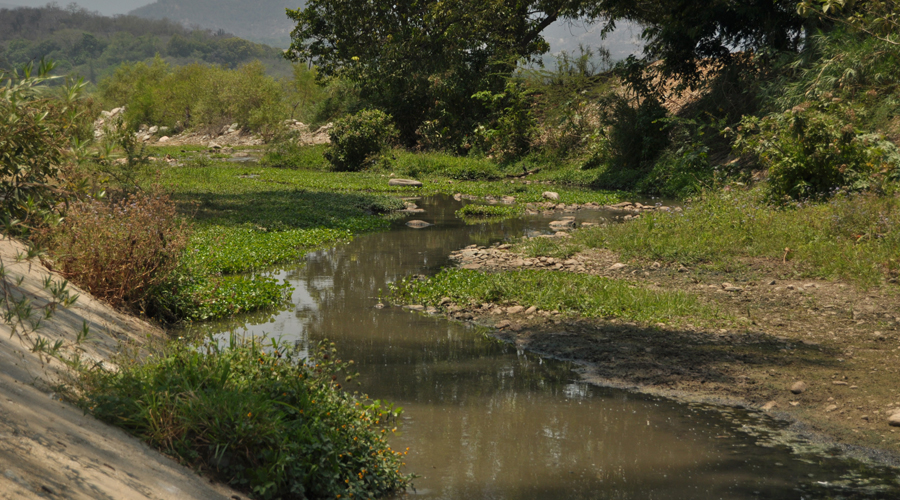 Aguas negras inundan colonia Flores Magón en Etla | El Imparcial de Oaxaca