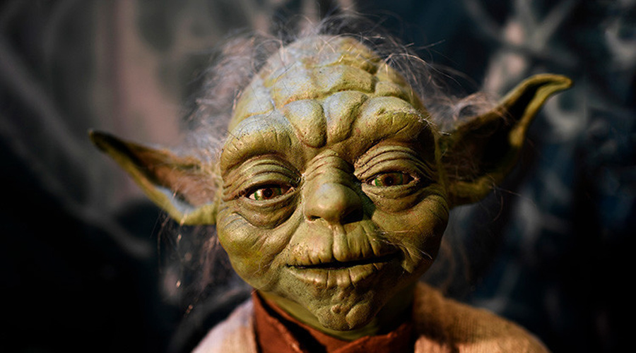 Video: Maestro Yoda ‘reencarna’ en forma de koala