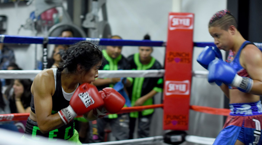 Alistan combates de boxeo en Oaxaca | El Imparcial de Oaxaca