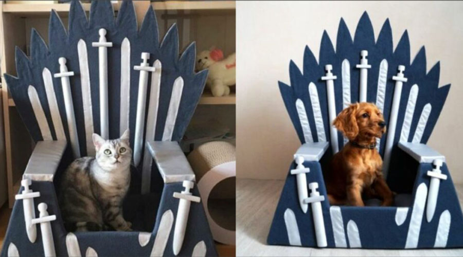 Crean sillas de “Game of Thrones” para mascotas