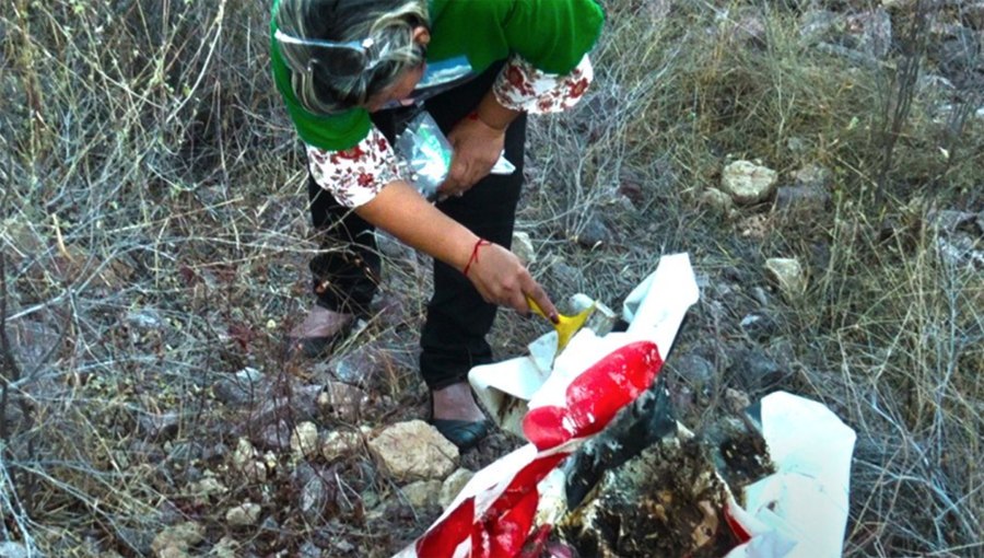 Hallan “Rastreadoras” 12 cuerpos en Mazatlán | El Imparcial de Oaxaca