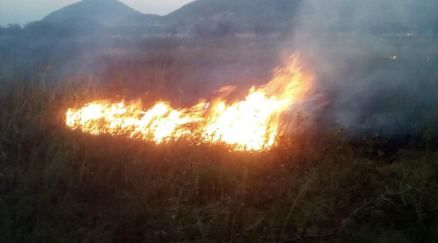 En aumento incendios forestales en Salina Cruz