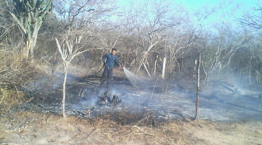 En aumento incendios forestales en Salina Cruz
