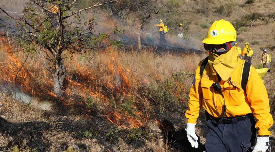 Aumentan incendios en la zona conurbada de Oaxaca | El Imparcial de Oaxaca