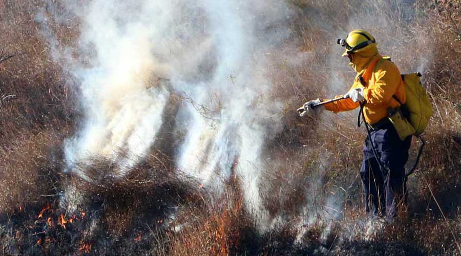 Combaten incendio en inmediaciones de Etla