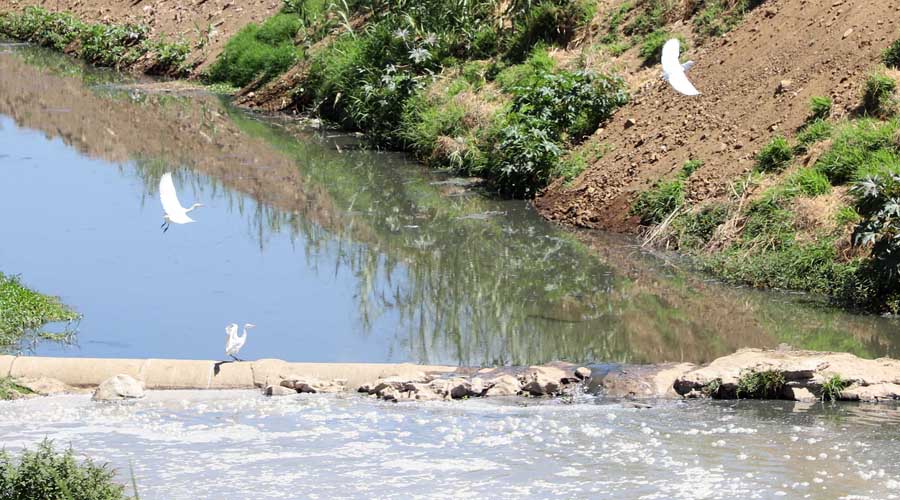 Se acudirá a organismos internacionales para salvar ríos de Oaxaca | El Imparcial de Oaxaca