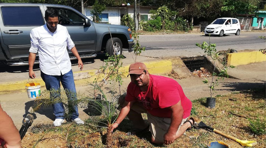 Reforestan áreas verdes en Matías Romero | El Imparcial de Oaxaca
