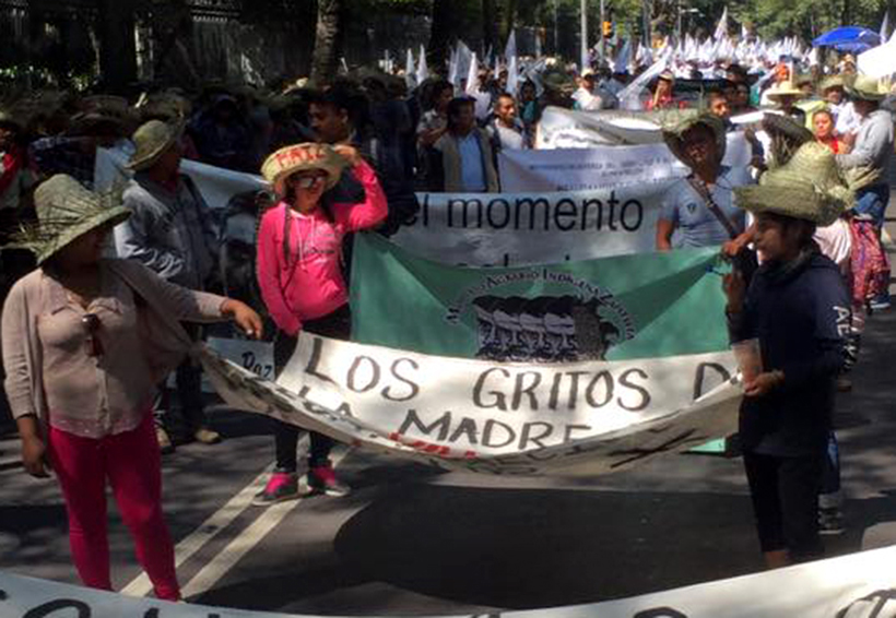 Denuncian intimidación contra líder de la organización MAIZ en la Mixteca | El Imparcial de Oaxaca