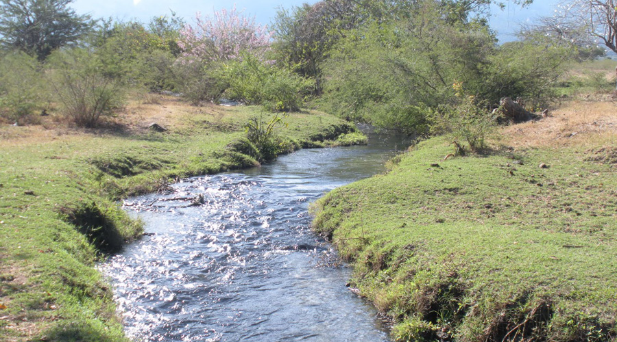 Rechazarán imposición de Ley Estatal del Agua | El Imparcial de Oaxaca