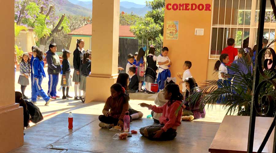 Nutriólogos y escuelas de Oaxaca, se unen para evitar el consumo de chatarra