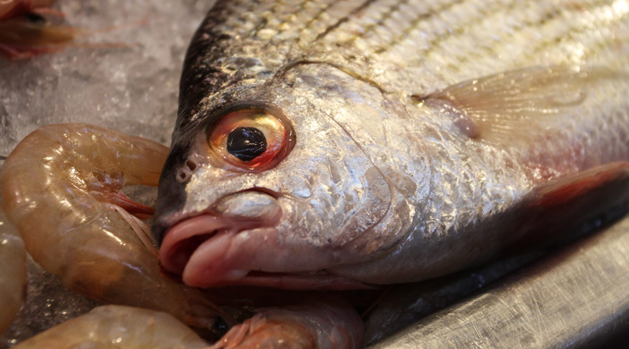 Las señales de intoxicación por pescados y mariscos | El Imparcial de Oaxaca