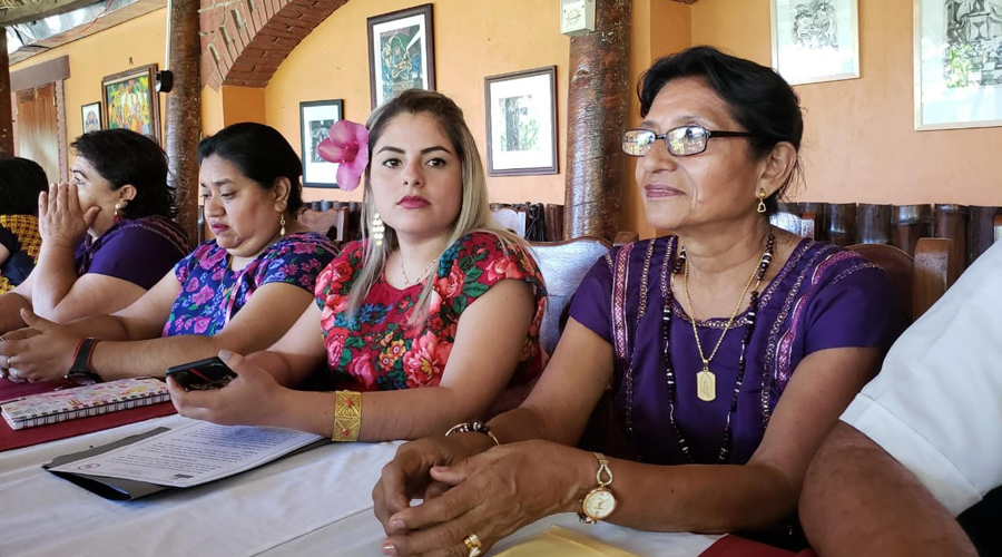 Política federal pone en riesgo refugio de mujeres en Juchitán