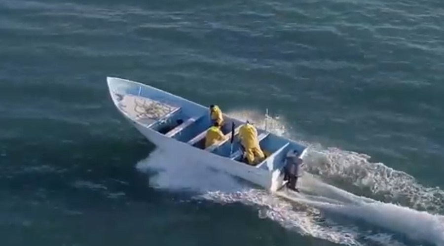 Video: Captan persecución de pescadores con red ilegal de Totoaba