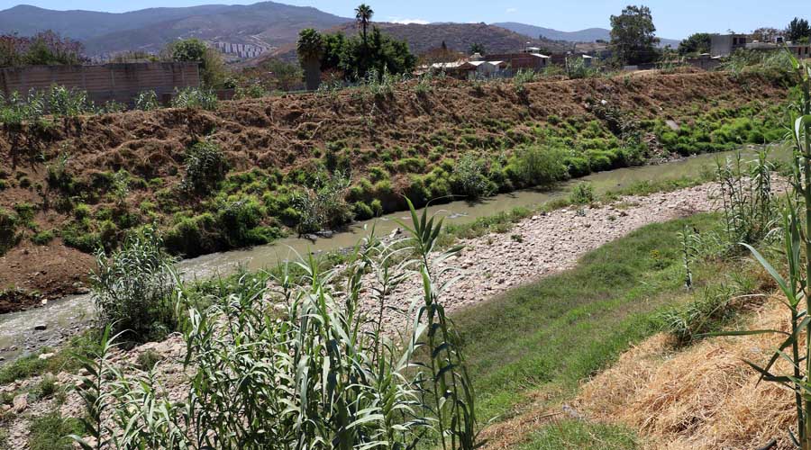 Insuficientes los tequios para sanear ríos: Litigio Estratégico | El Imparcial de Oaxaca