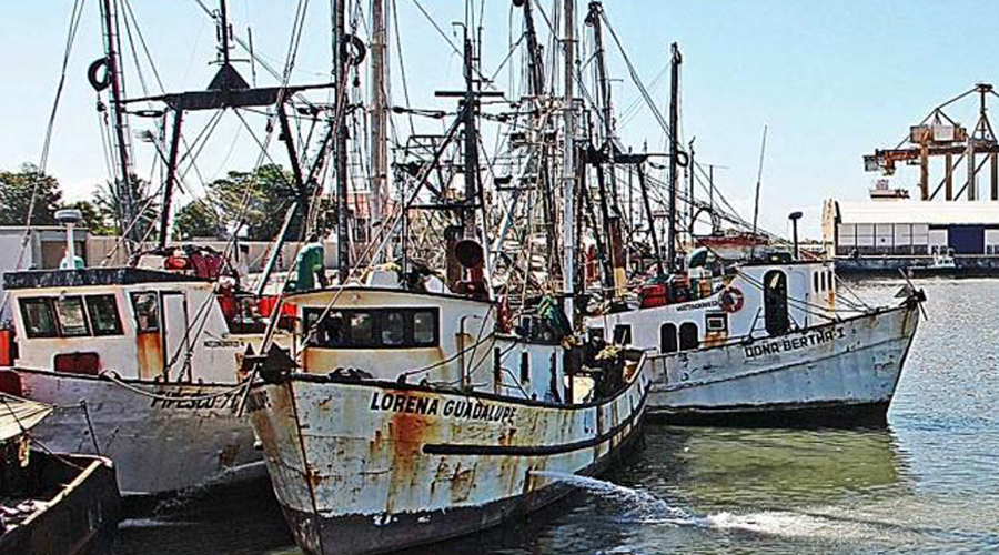 Termina la mala temporada de pesca en el Istmo | El Imparcial de Oaxaca