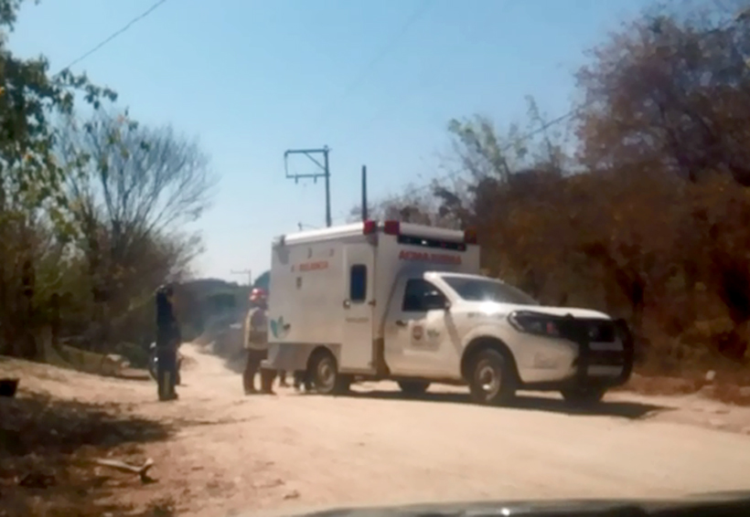 Atacan abejas a vecinos  de Santa María Huatulco | El Imparcial de Oaxaca