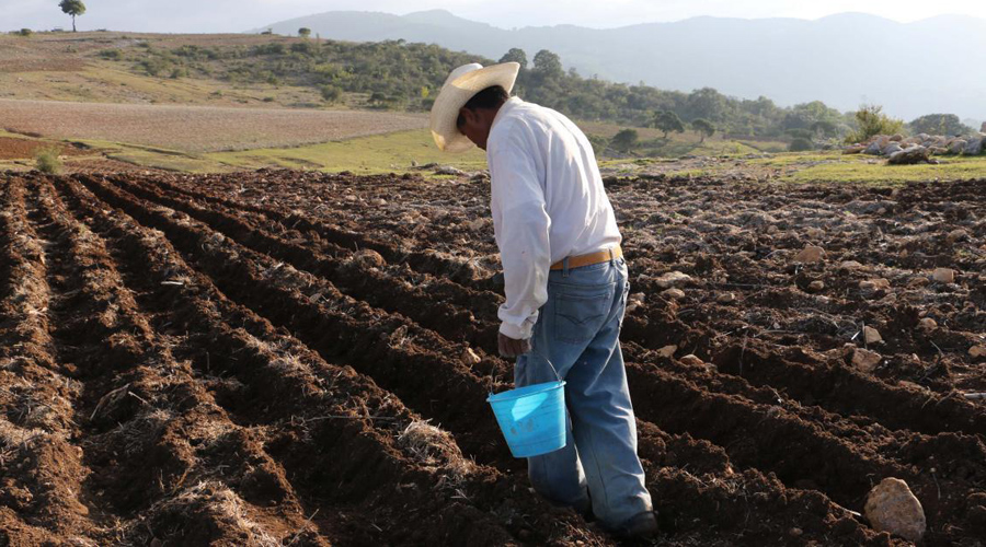 Se abren ventanillas de programas para el campo en Oaxaca