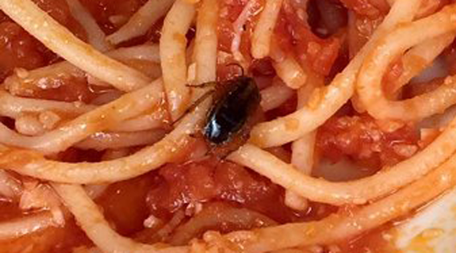 Video: Mujer encuentra cucarachas en plato de comida china | El Imparcial de Oaxaca