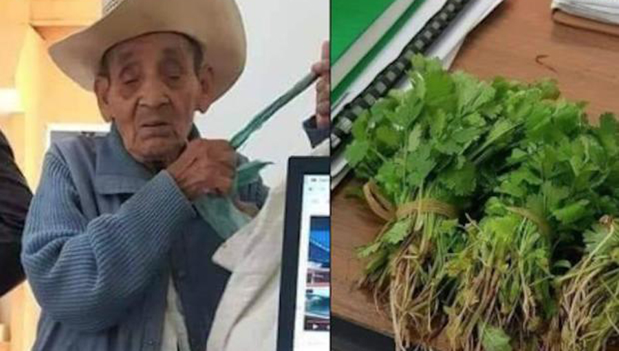 Adulto mayor paga su acta de nacimiento con cilantro por falta de dinero