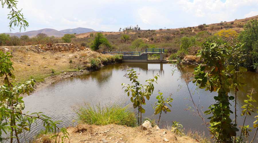Privatización del agua es un riesgo latente en Oaxaca | El Imparcial de Oaxaca