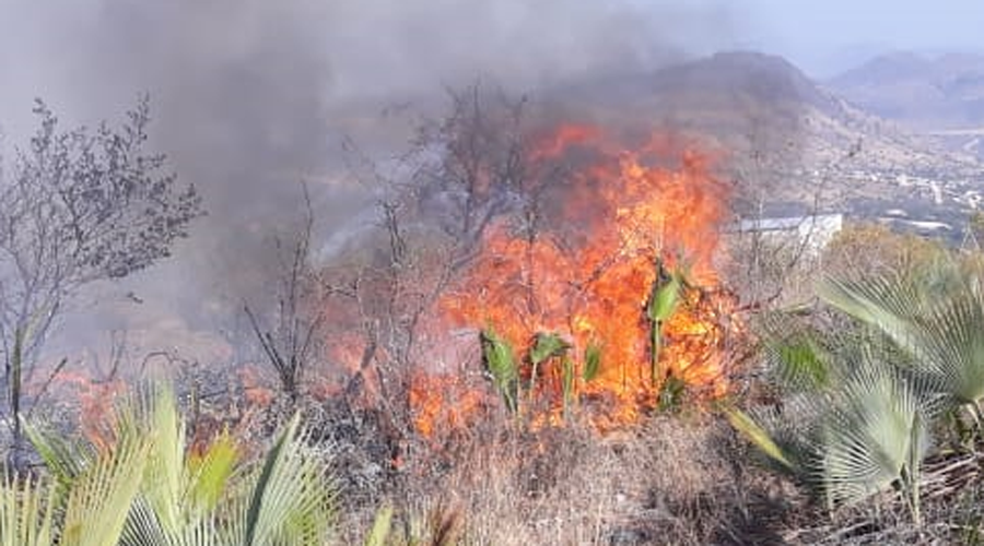 Incendio arrasa con más de 20 hectáreas | El Imparcial de Oaxaca