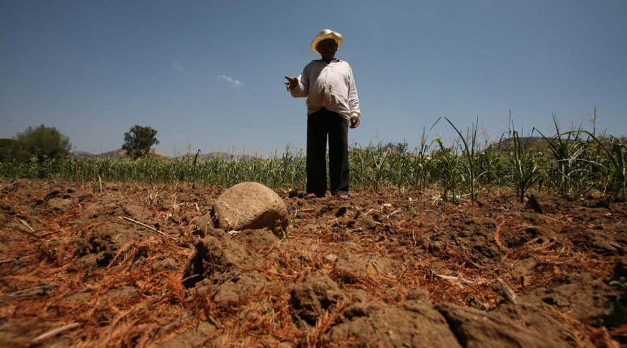 34 % del territorio  oaxaqueño sufre sequía