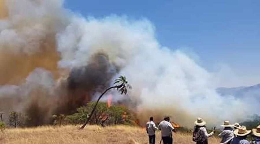 Piden ayuda tras incendio forestal en Silacayoápan | El Imparcial de Oaxaca