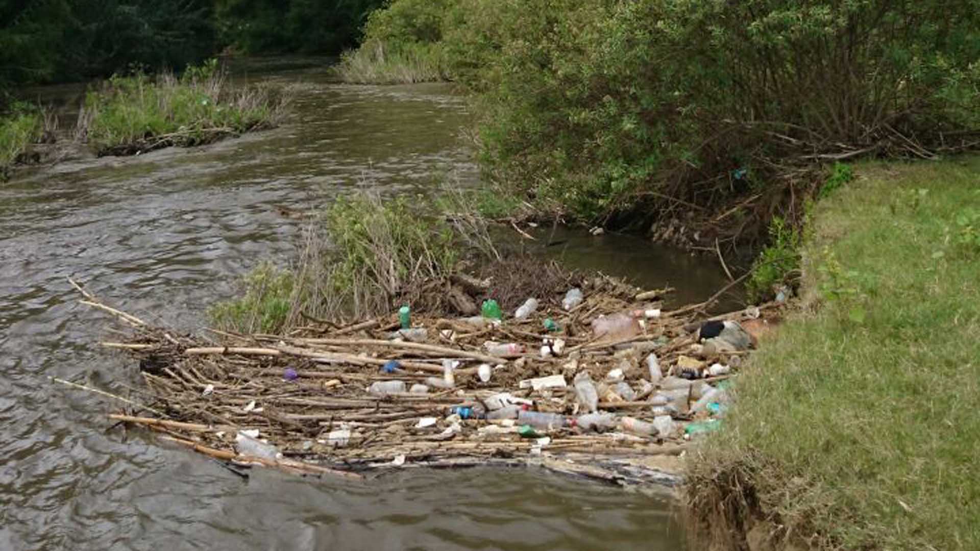 Proponen iniciar rescate de ríos de Oaxaca con pequeñas acciones