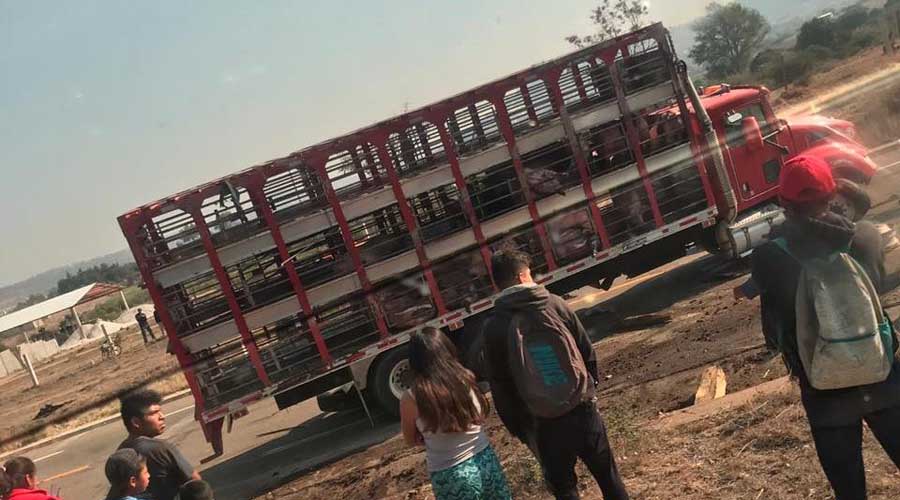 Vuelca camión con ganado en Asunción Nochixtlán | El Imparcial de Oaxaca
