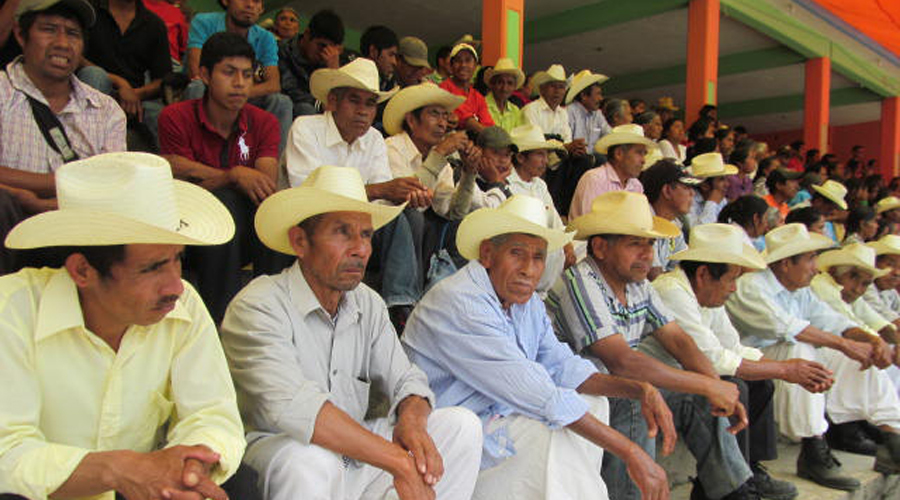 Gestionan en Huautla de Jiménez diferentes proyectos agropecuarios | El Imparcial de Oaxaca