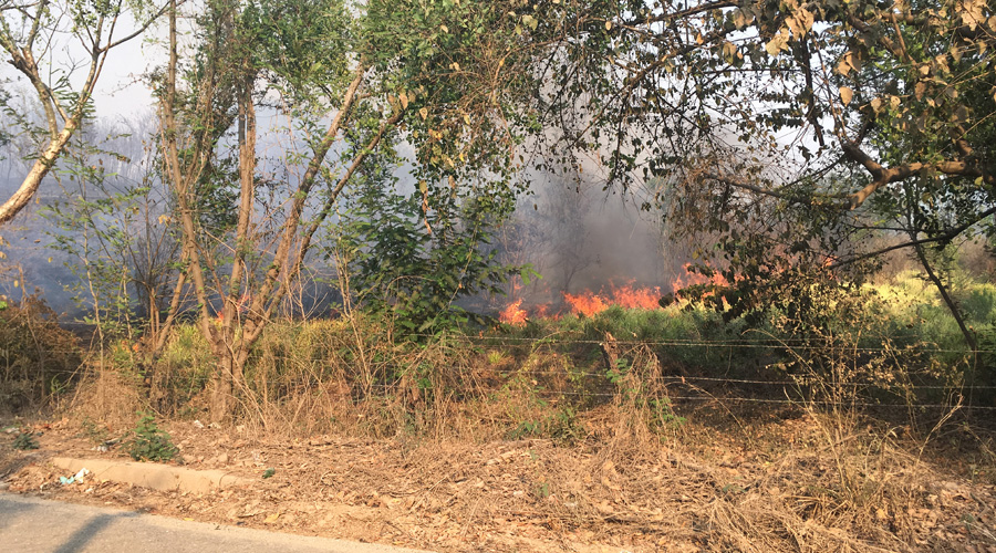 Incendios afectan la Costa de Oaxaca