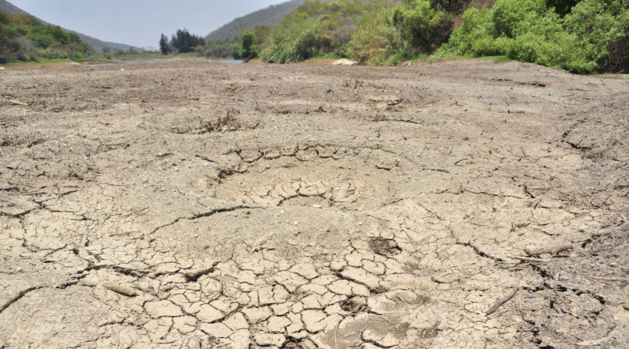 Amenaza la sequía a poblaciones de Oaxaca
