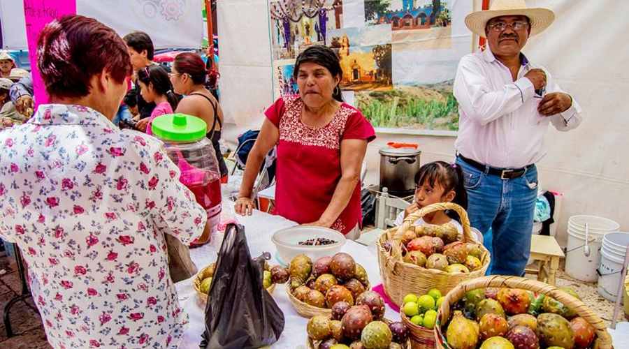 Productores de la Mixteca se preparan  para temporada de pitayas