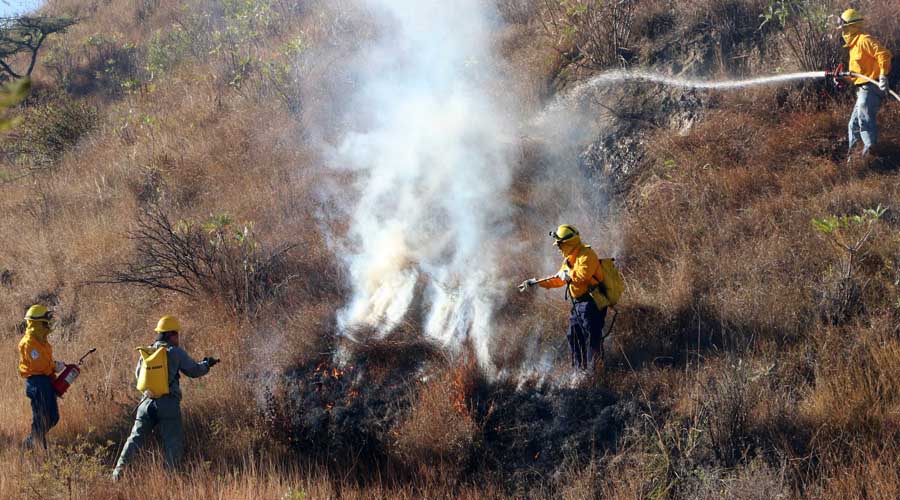 Casi se duplican incendios forestales en Oaxaca | El Imparcial de Oaxaca