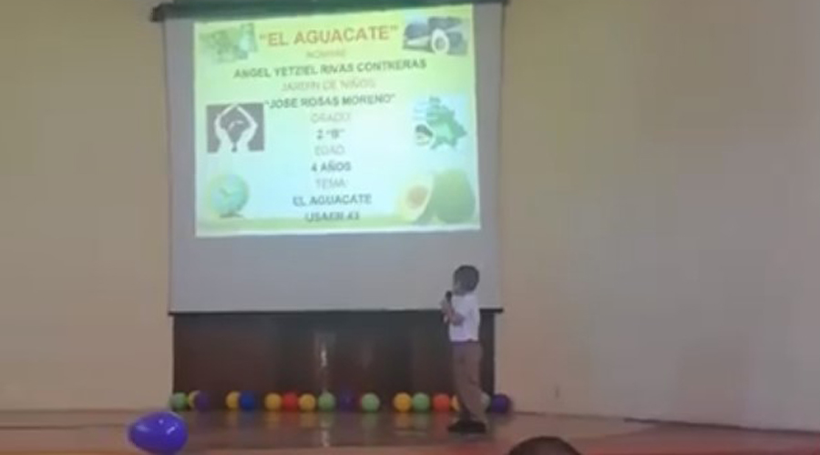 Video: Pequeño niño expone sobre el aguacate y se hace viral
